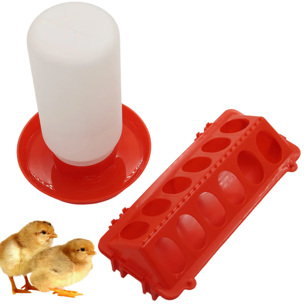 Comedero Lineal y Bebedero 1L Automático para Gallinas
