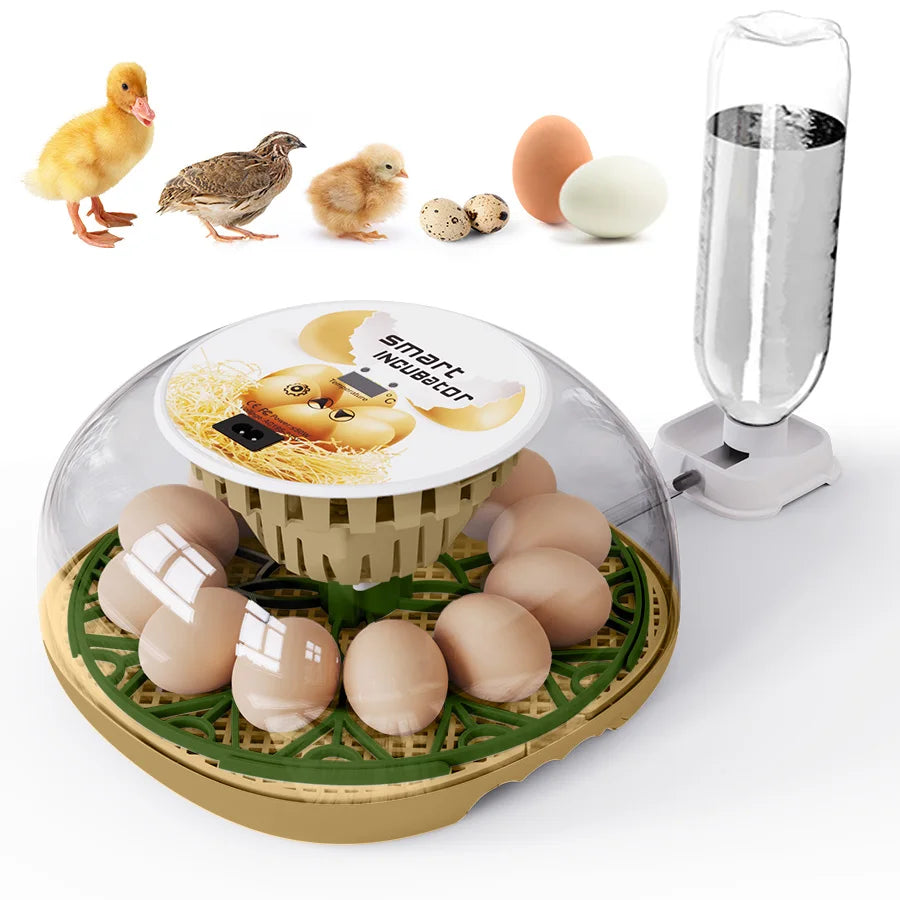 Incubadora de huevos de ganso y pollo pequeño para el hogar, agregue automáticamente el agua, Control inteligente de temperatura, 12 incubadoras