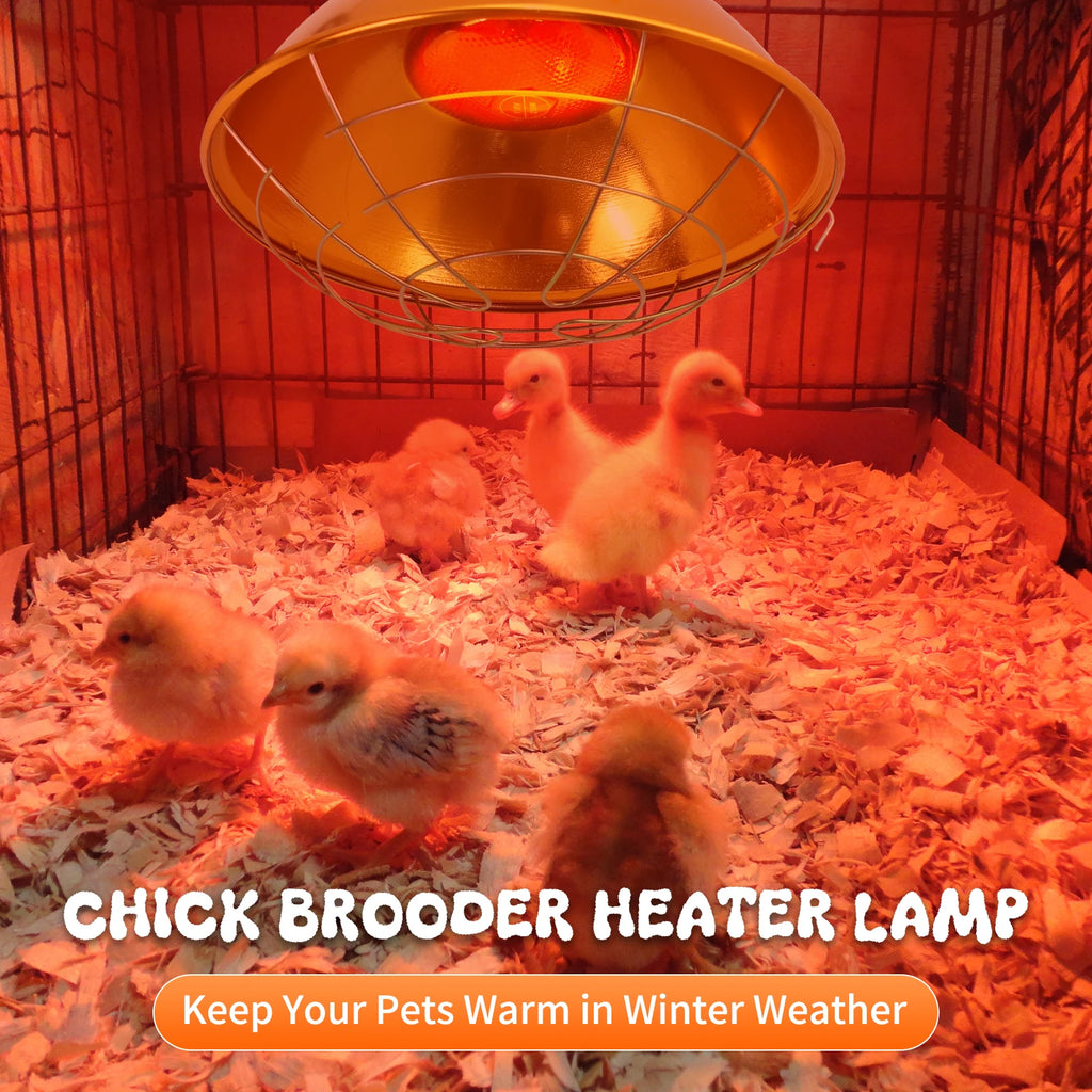 Lámpara de Calor Impermeable Ajustable para Gallinero