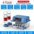 Incubadora de huevos de 6/9/12, incubadora de incubación de giro totalmente automática, máquina chocadeadora de huevos de animales de granja, incubadora Digital con Control de temperatura
