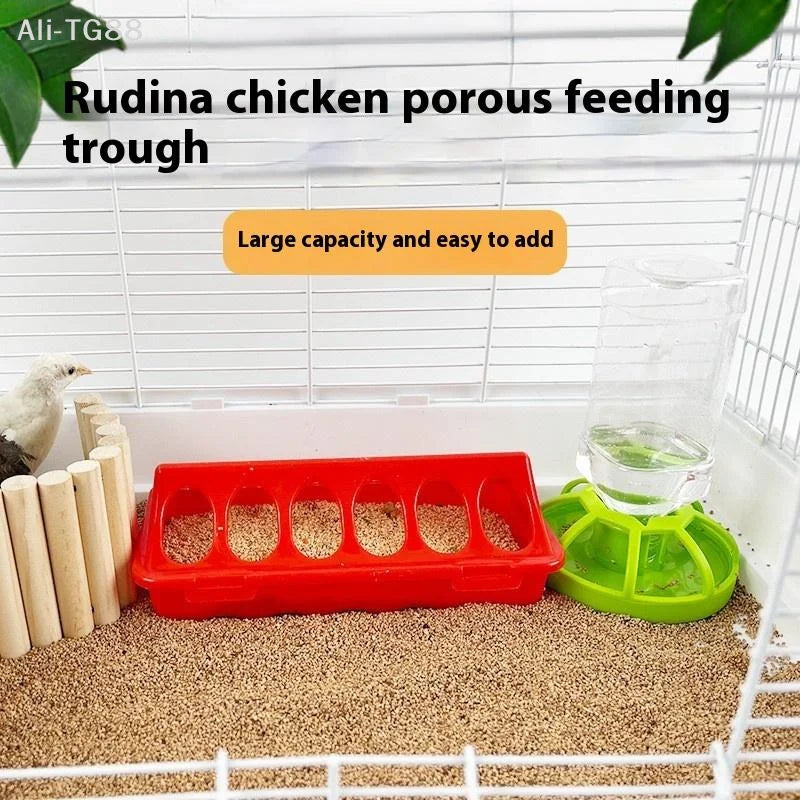 Comedero y Bebedero Automático Engrosado para Pollitos