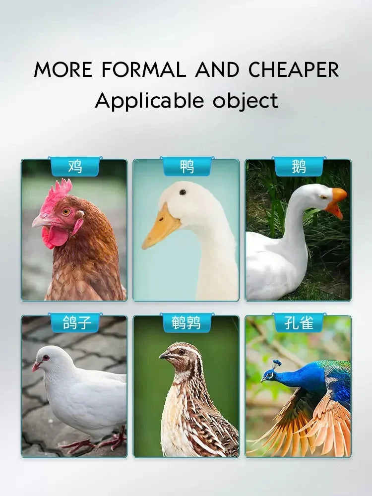 Polvo Multivitamínico 1000g para Gallinas