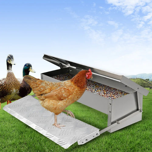 Alimentador automático de pollos de acero inoxidable, pedal de alimentación de aves de corral con apertura automática, resistente al agua, a prueba de ratios, con Pedal