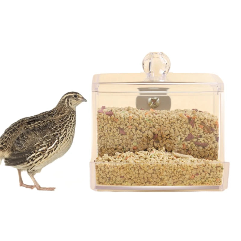 Foraging Feeder for Birds Parrot Automatic Quail Feeder Cage Bird Feeding System Cage Accessories for Parakeet Quail Pet Chicken