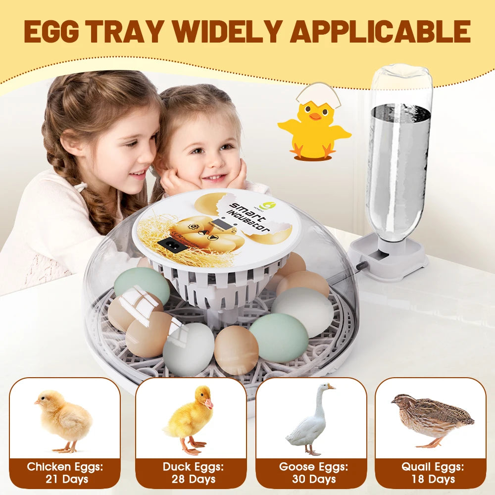 Incubadora de huevos de ganso y pollo pequeño para el hogar, agregue automáticamente el agua, Control inteligente de temperatura, 12 incubadoras