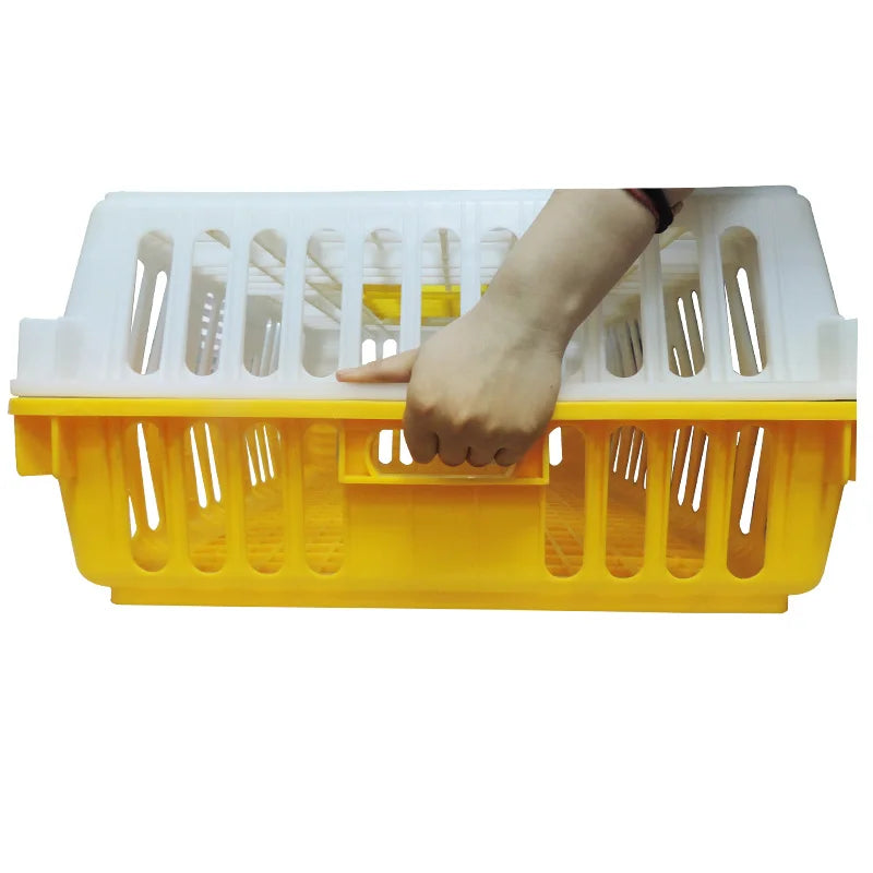 Jaula de Transporte para Pollos de Plástico