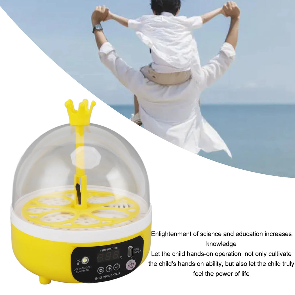 Mini Incubadora Automática 4 Huevos para Gallinas