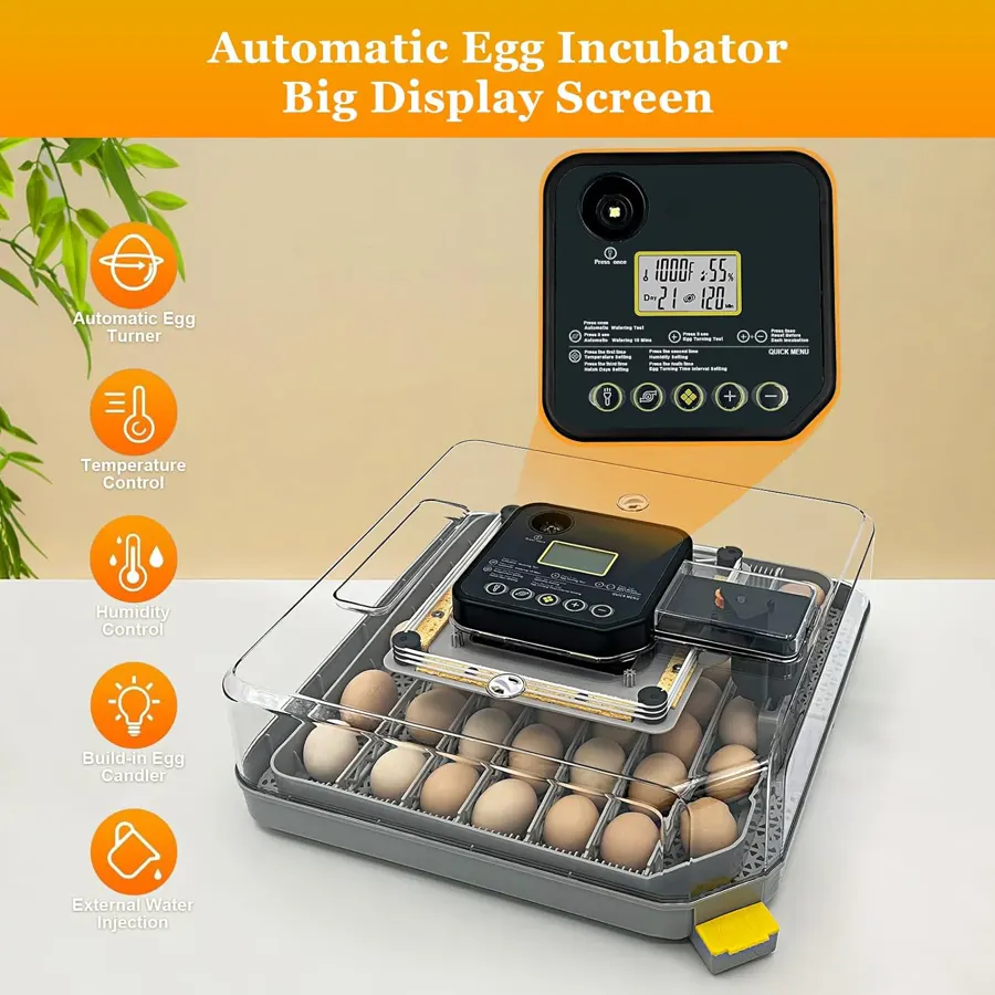 Incubadora automática WONEGG de 48 huevos con pantalla digital y tapa transparente